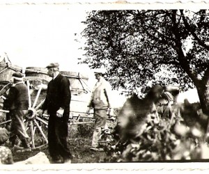 Vendange dans les vignes familiales